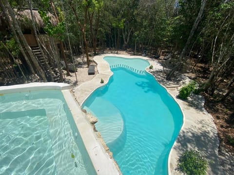 Garden, Swimming pool