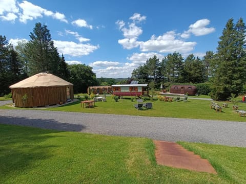 Day, Natural landscape, Garden, Garden view