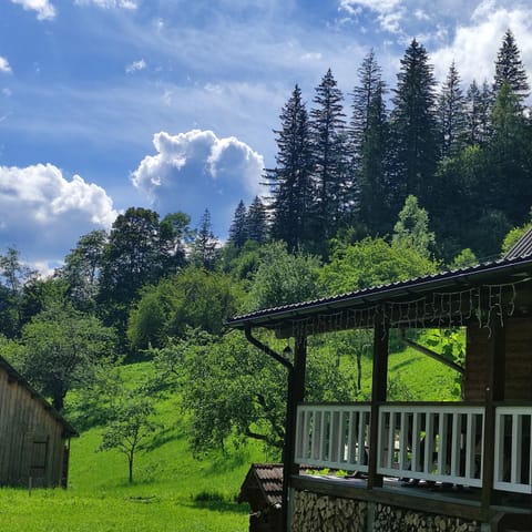 Natural landscape, Garden, Mountain view
