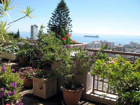 Day, Balcony/Terrace
