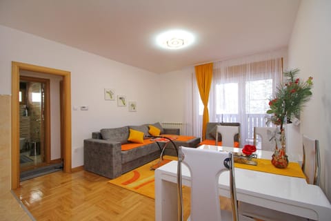 Apartment Jony Lux Center Apartment in Zlatibor