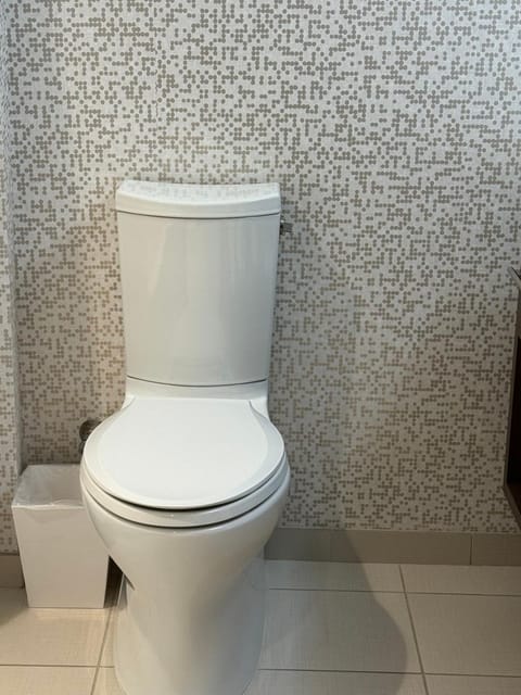 Toilet, Seating area