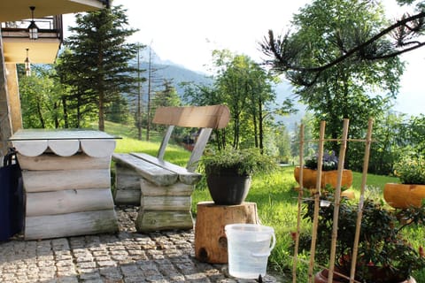 Garden, Mountain view