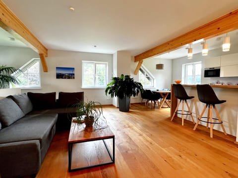 Kitchen or kitchenette, Living room, Seating area, Dining area