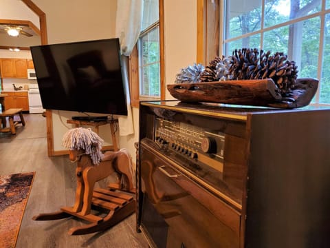 TV and multimedia, Decorative detail