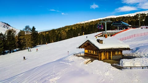 Luxury Wellness Lusiaski Chalet in Trentino-South Tyrol