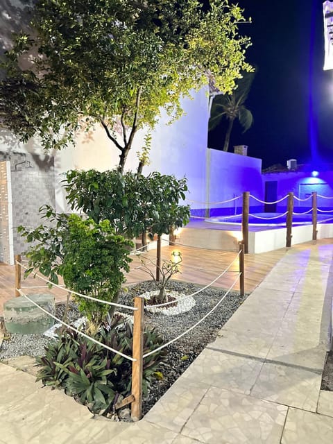 Night, Garden view, Swimming pool