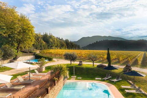 Garden view, Pool view, Swimming pool, sunbed
