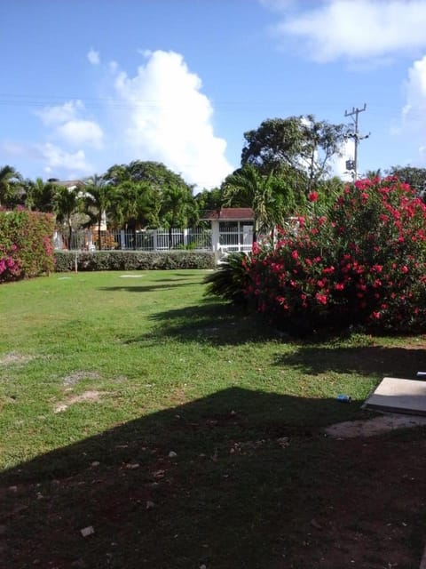 Garden view