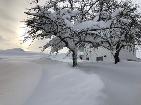 Property building, Natural landscape, Winter