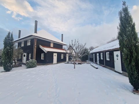 Bed & Breakfast Donna Bed and Breakfast in Rotterdam