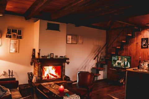 Living room, Photo of the whole room, Animals, Pets, Certificate/Award, fireplace, fireplace, furniture, heating, internet, pet friendly