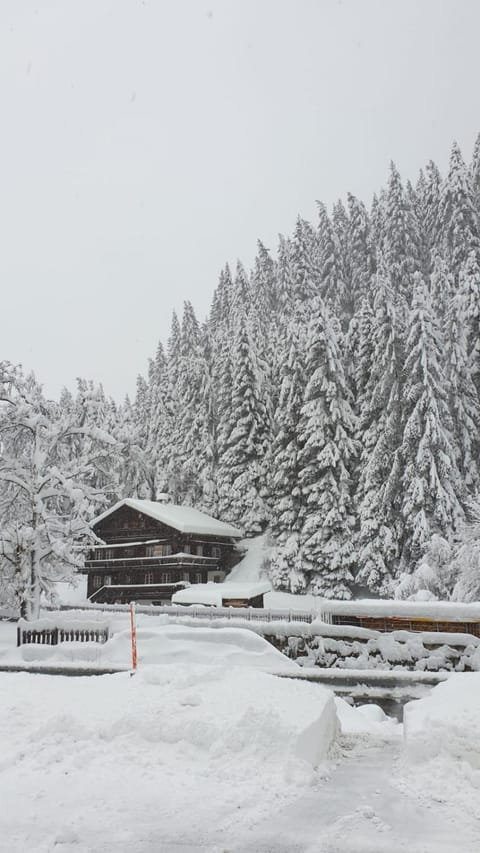 Property building, Winter