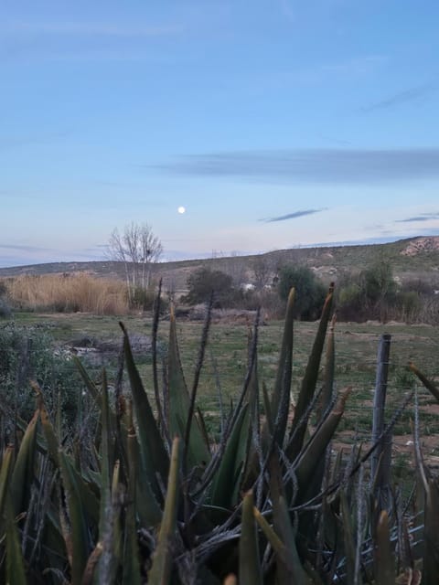 Mayfair Farm Cottages Apartment in Western Cape
