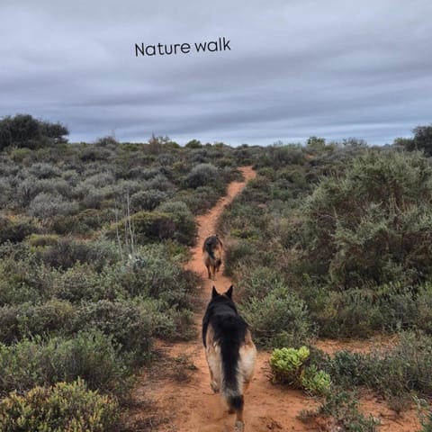 Mayfair Farm Cottages Apartment in Western Cape