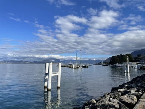 Appartement cozy au centre d'Évian, jusqu'à 4 personnes - FR-1-498-58 Apartment in Évian-les-Bains