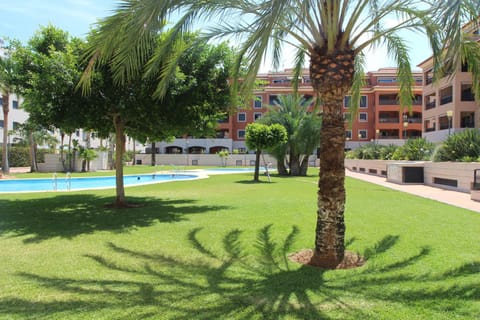 Day, Garden, Garden view, Pool view, Swimming pool