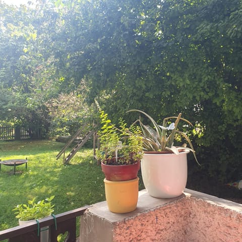 Zentral gelegene Wohnung mit grossem Garten Apartment in Interlaken