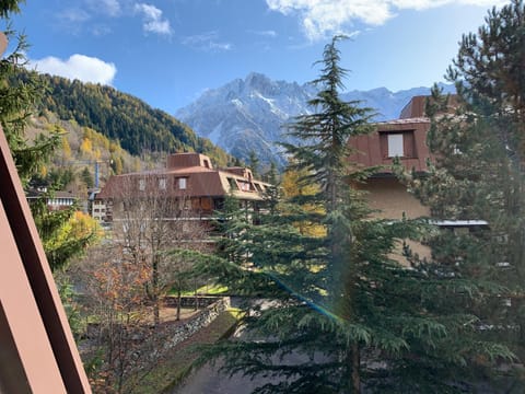 Bilocale Sorgente Apartment in Ponte di Legno