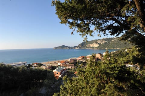 Natural landscape, Garden, Sea view