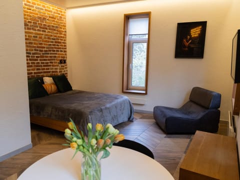 Bed, Living room, Photo of the whole room, Seating area, Bedroom