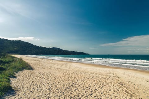 Natural landscape, Beach