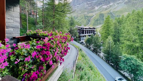 Panoramic Apartment Apartment in Breuil-Cervinia