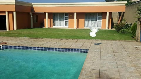 Garden, Swimming pool, Swimming pool