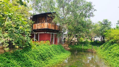 Lake view