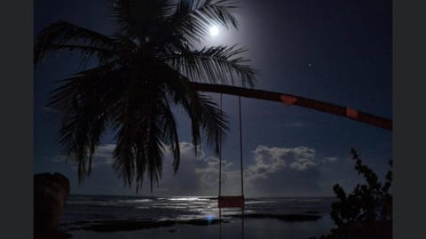 Night, Sea view
