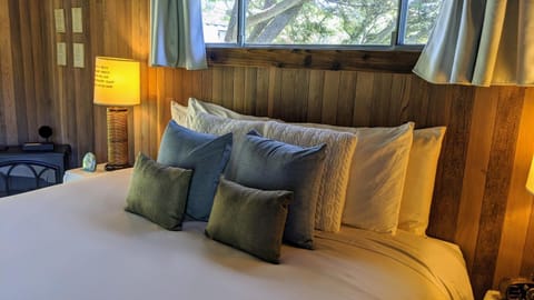 The Andiron Seaside Inn & Cabins Cabin in Mendocino County