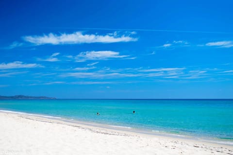 Natural landscape, Beach