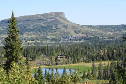 Natural landscape, Hiking, Mountain view