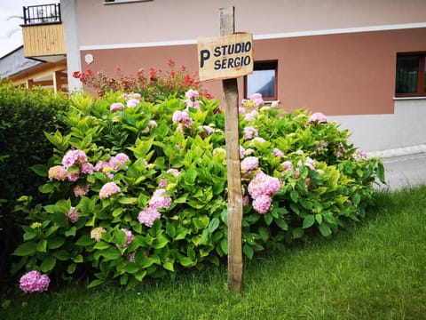 Day, Garden, Logo/Certificate/Sign, Street view