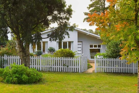 Property building, Spring, Day, Natural landscape, Garden, Garden view