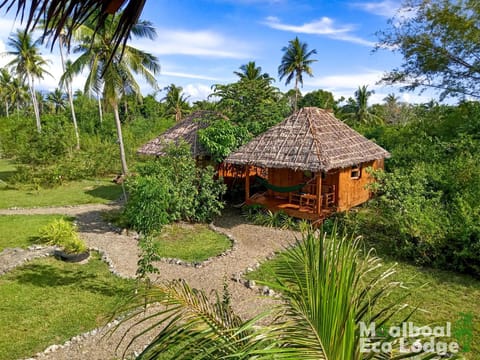 Garden, Garden, Garden view, Garden view, Area and facilities