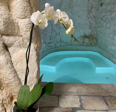 Hot Tub, Swimming pool