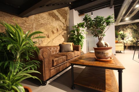 Living room, Lobby or reception