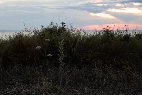 Hotell Persnäs Hotel in Kalmar County, Sweden