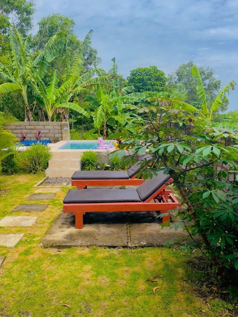 Day, Natural landscape, Garden, Garden view, sunbed