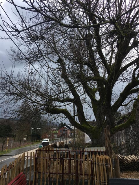 B&B De Notelaar Bed and Breakfast in Wallonia, Belgium