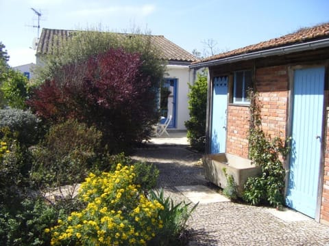 Day, Garden view