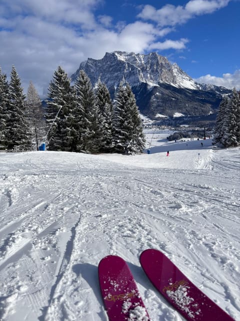 Appartement Gipfelblick- Tiroler Zugspitze Arena in Biberwier Apartment in Tyrol