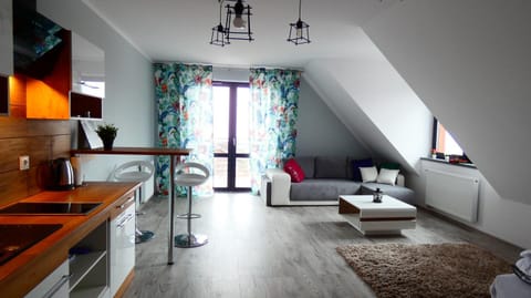 Kitchen or kitchenette, Living room, Photo of the whole room, Seating area