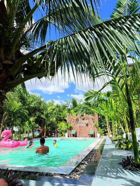 Swimming pool, Swimming pool