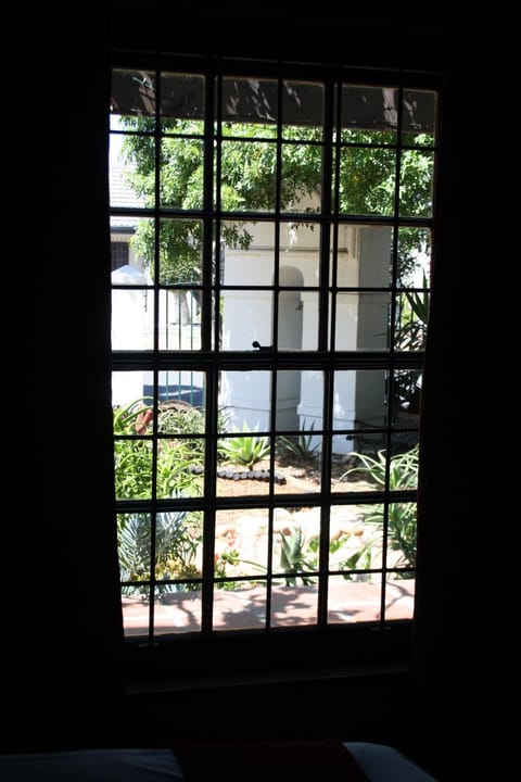 The Vinelands on Alpha Guest House Bed and Breakfast in Cape Town