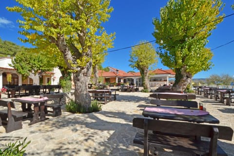 Evening entertainment