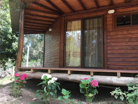 Patio, Facade/entrance