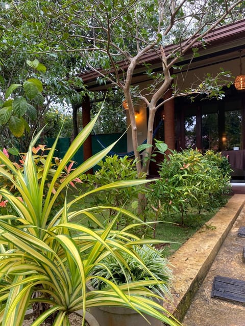 Property building, Garden