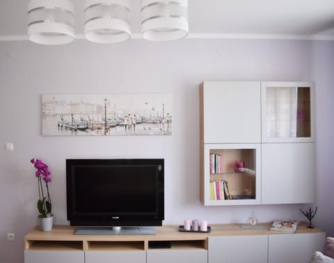 TV and multimedia